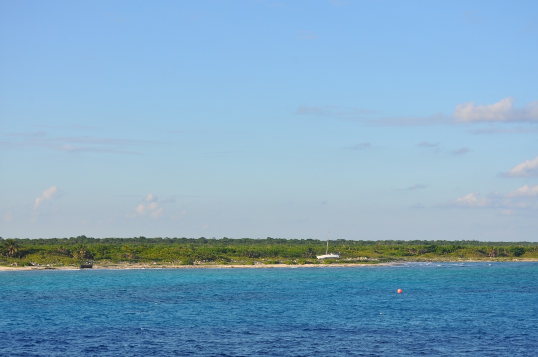 DSC_0244.JPG