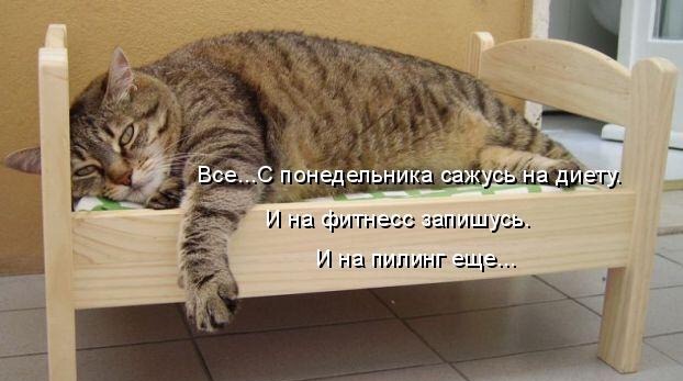 IMG_2451.JPG