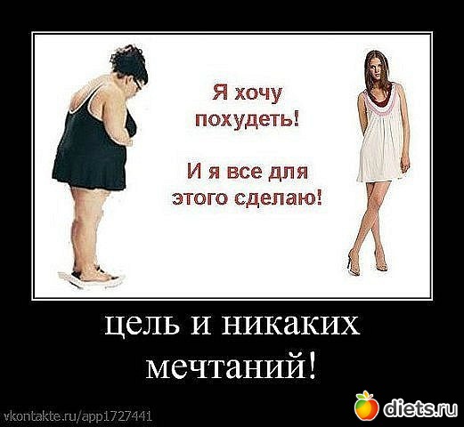 1120399_69927.jpg