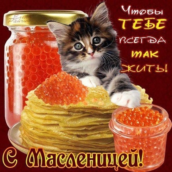 image (1).jpg