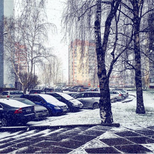 InShot_20180119_180542_500x498.jpg