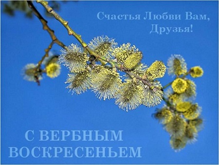 вербное 1.jpg