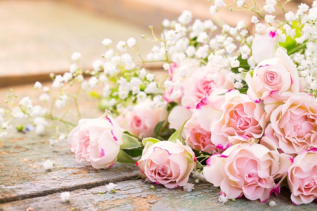 Roses_Pink_color_518113_1280x853.jpg
