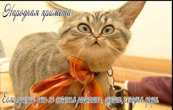 доброе утро 3.jpg