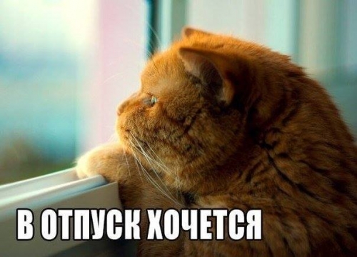 вотпуск.jpg
