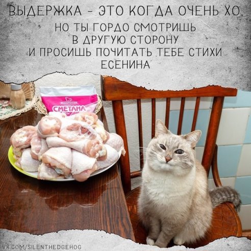 image-39.jpg