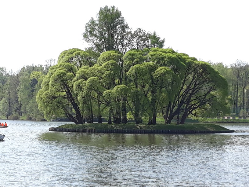20180505_102051-816x612.jpg