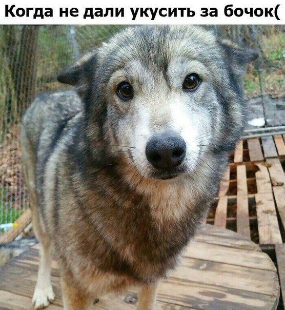 zSVWRr2xRgA[1].jpg