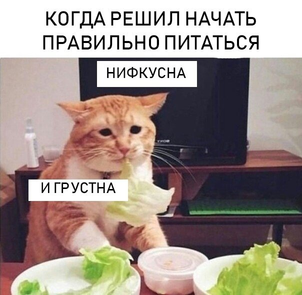 DfaPOzLX4AAH3yR.jpg