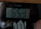 20180622_053150.jpg