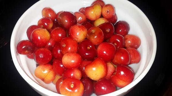 20180624_082145.jpg