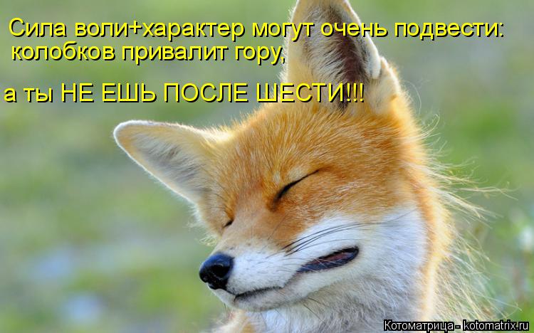 kotomatritsa_3C.jpg