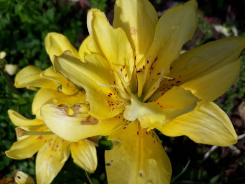1-20180719_152135.jpg