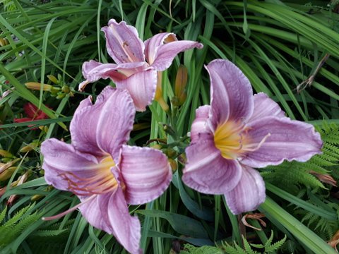 1-20180722_194928.jpg