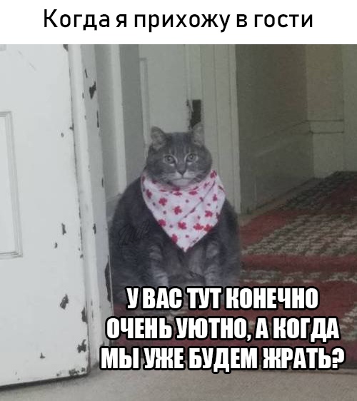 ii31fFuUflY.jpg