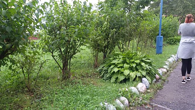 20180826_095557.jpg