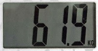 61,9.jpg