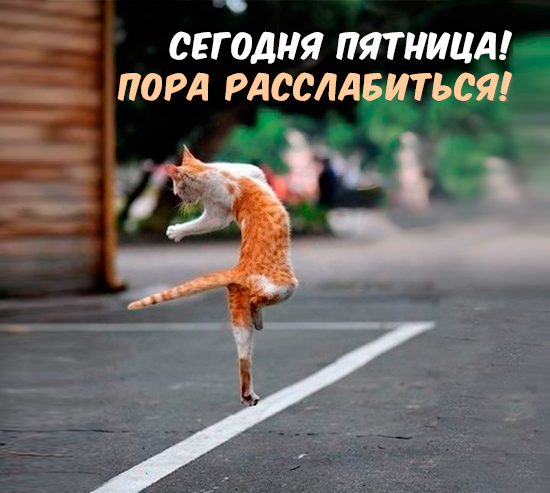 fullsize.jpg