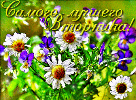 Открытка вторник.gif