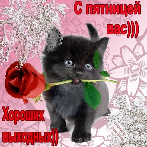 С пятницей!png.png