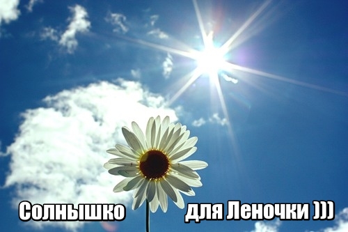 lol1540636102.jpg