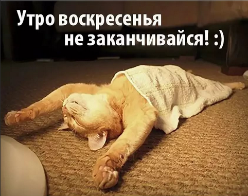 Воскресенье)).png