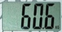 60.6.jpg