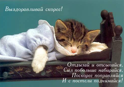 Снимок.PNG