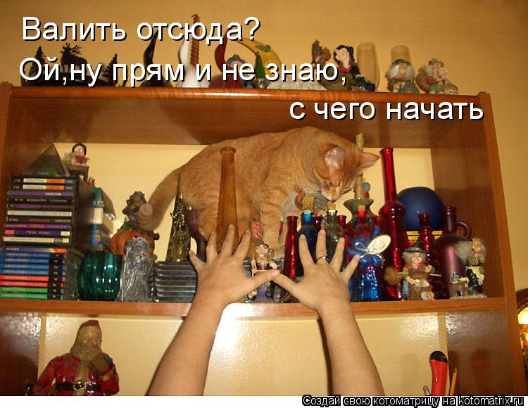 kotomatritsa_1.jpg