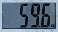 59.6.jpg