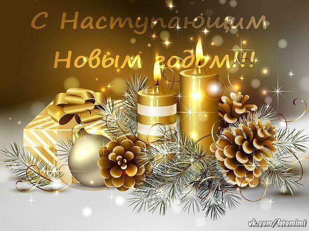 l_10819-otkritki-Otkritka-otkritka-s-Novim-godom-novogodnyaya-otkritka-shishki-svechki.jpg