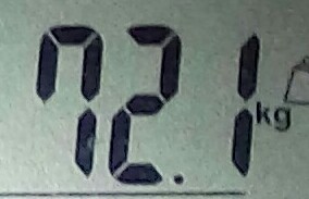 20190112_123758-1-1.jpg