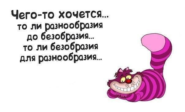 eed97063911b79f1df0fb546bed960de.jpg