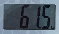 61.5.jpg