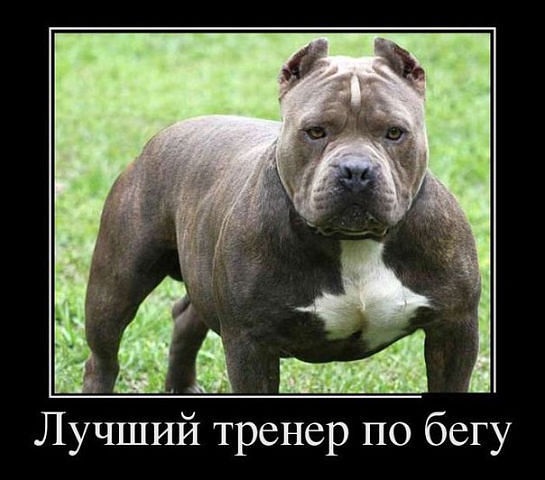 getImage (75).jpg