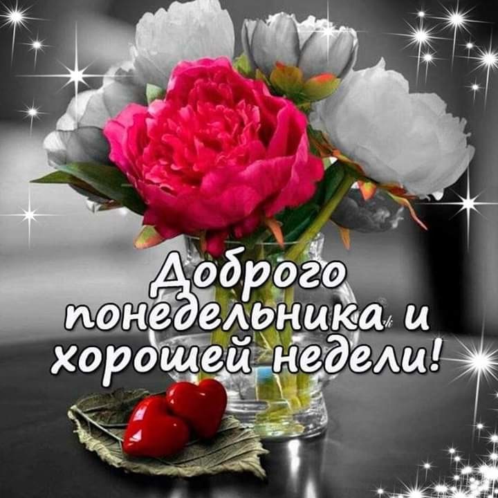 понедельник.jpg