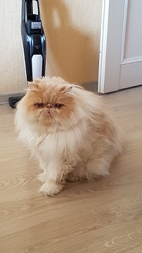 20180429_082136.jpg