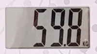 59.8.jpg