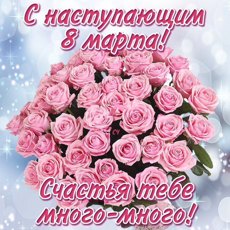 1551879586-1368.jpg