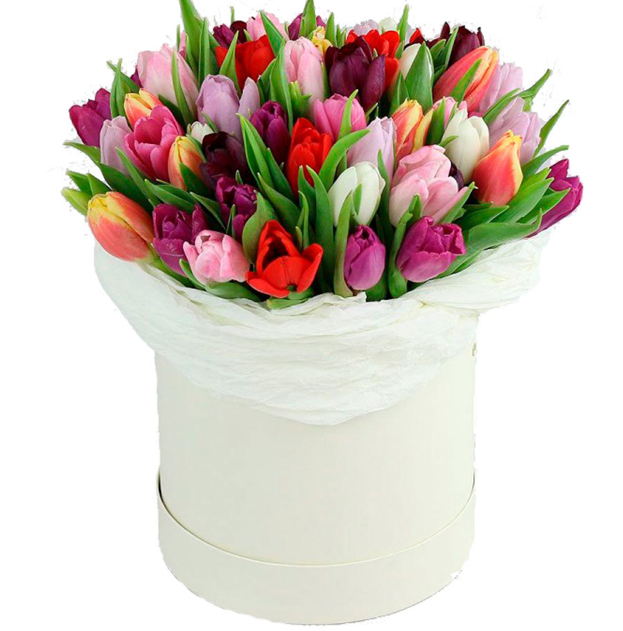 tulipbox.jpg