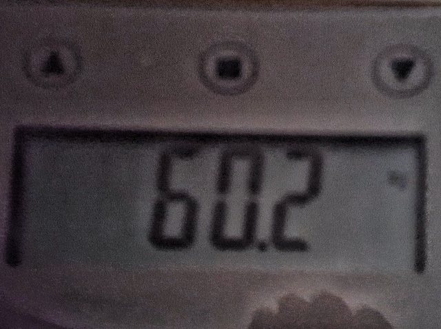 20190323_165746-01.jpeg