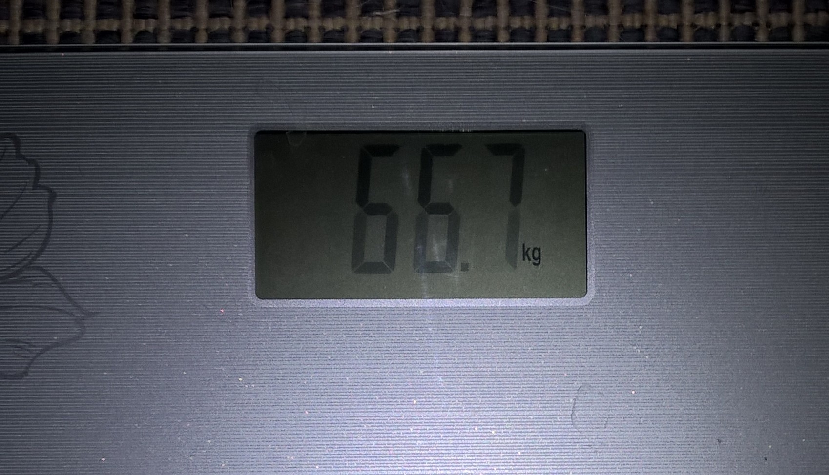 WP_20190329.jpg