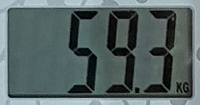 59.3.jpg