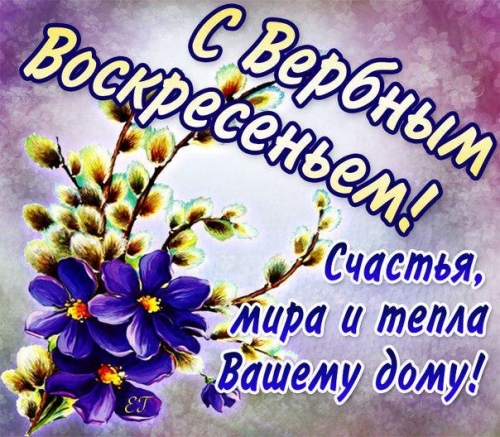 img_2320888d646a6433ffeaa941976a97cc.jpg
