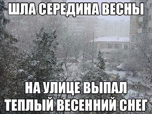 погода 2.jpg