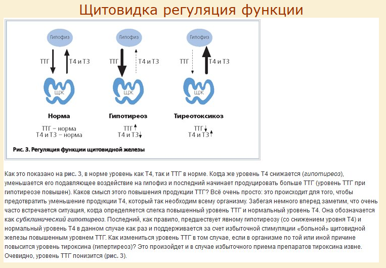 ЩЖ.PNG