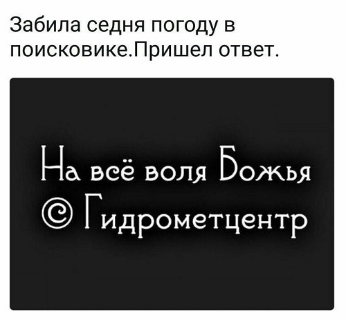 L0X4F126wb.jpg
