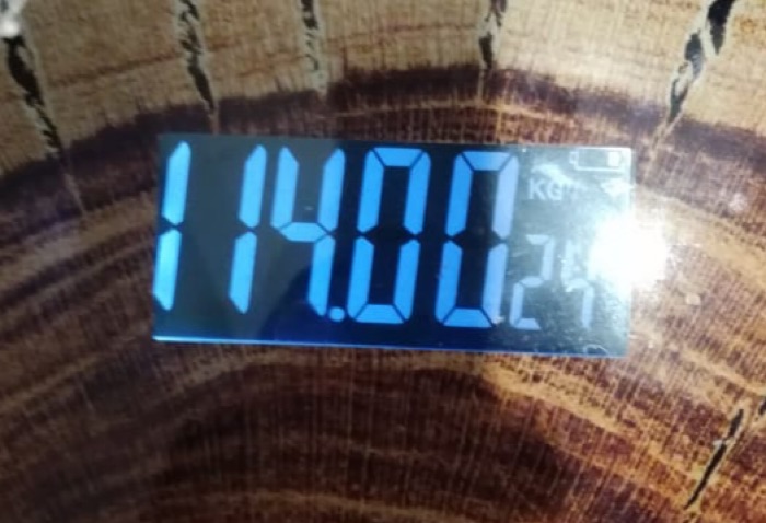 2019 07 17 Жекин Вес.jpg