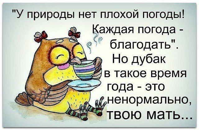 6f15aa345378146c26ece67221e4c6e7.jpg