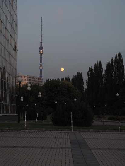 photostudio_1565683256190.jpg
